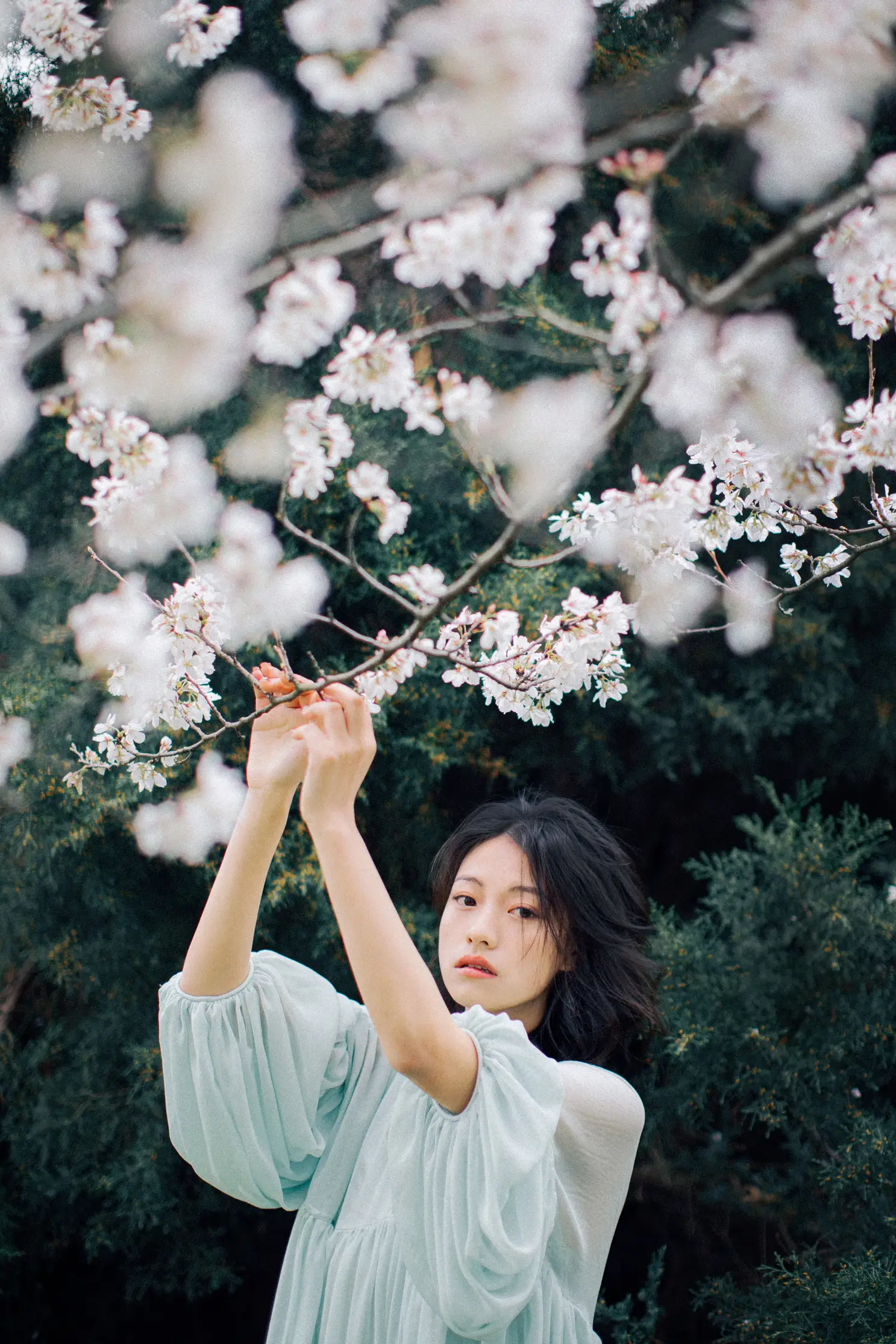 [YITUYU] 2022.05.27 Vol.1002 – Colorful Falling Cherry Blossoms September#[28P]-16